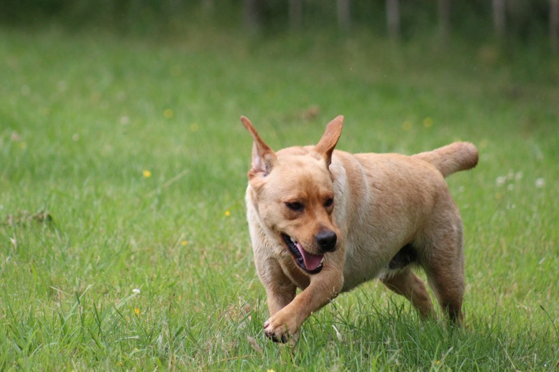 5bcffd6dde2c2cacbe47c085389e7129