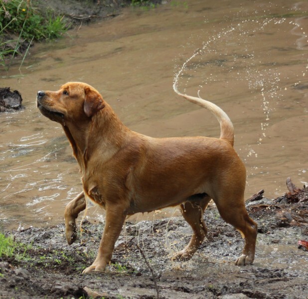 8e917c4b8b27b63fda71b9a8b609cf7e