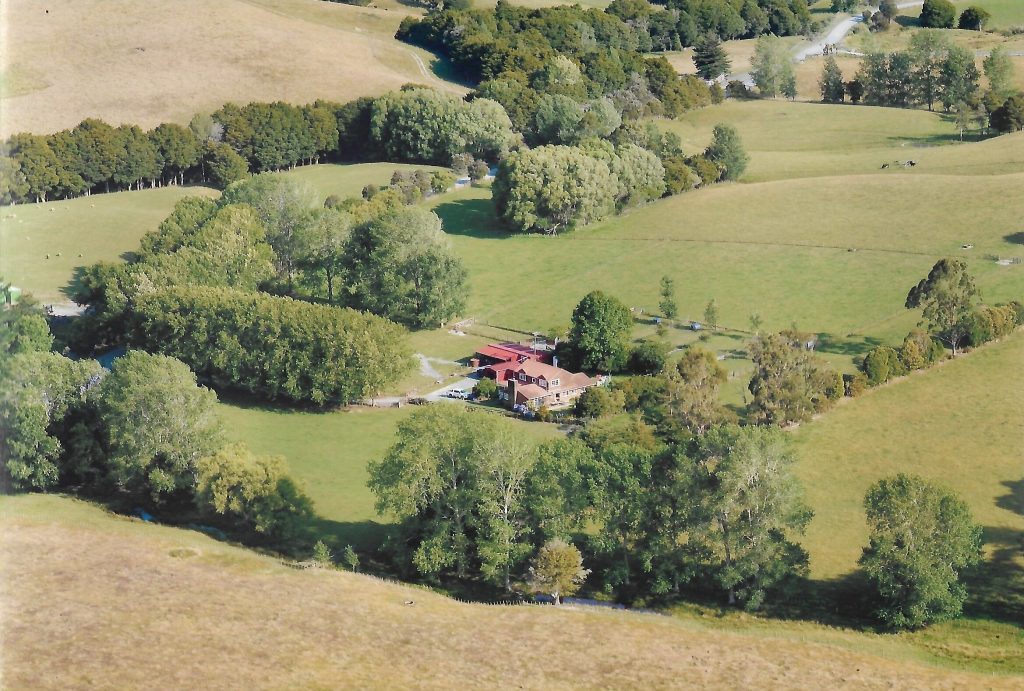 ashdale labradors ryan rd rotated