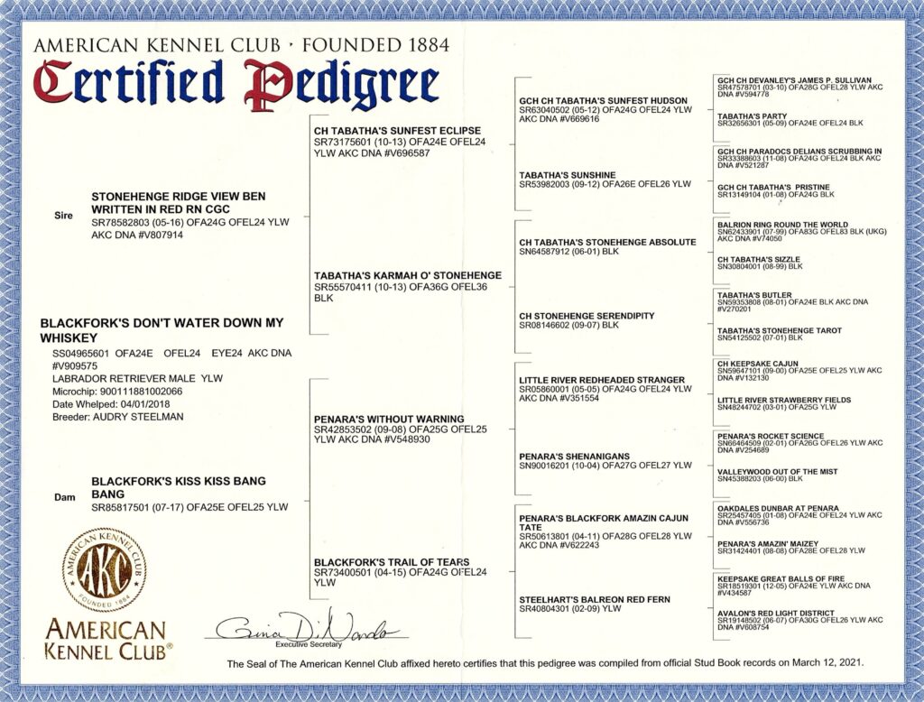 liam pedigree(1)